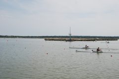 DSC_0049